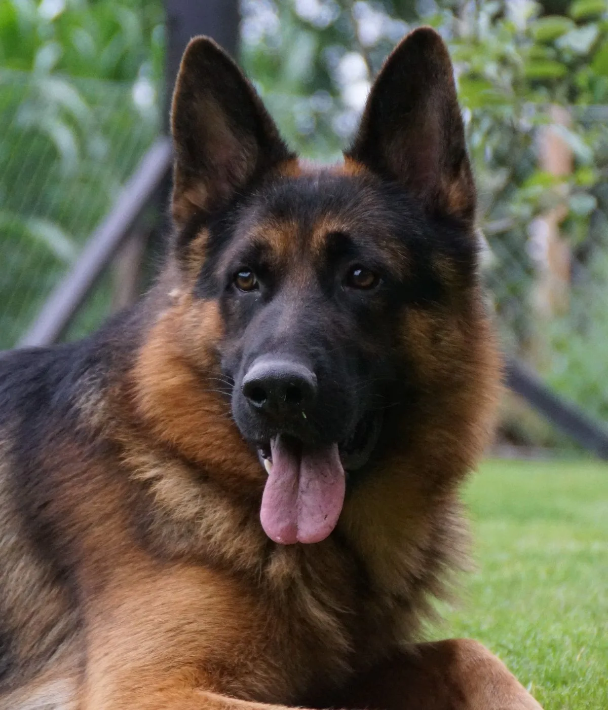 Foto van Athos