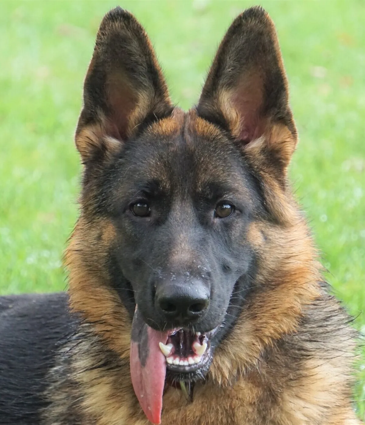 Foto van Haila